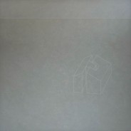 Trip in C (4)